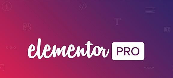 WP页面编辑器Elementor Pro[v3.9.1]