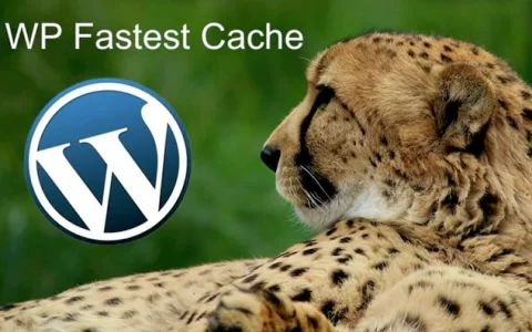 WP加速缓存插件 WP Fastest Cache Premium[1.6.6]