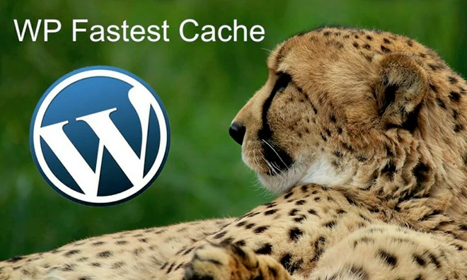 WP加速缓存插件 WP Fastest Cache Premium[1.6.6]